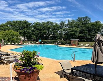 Salt water swimming pool with expansive deck